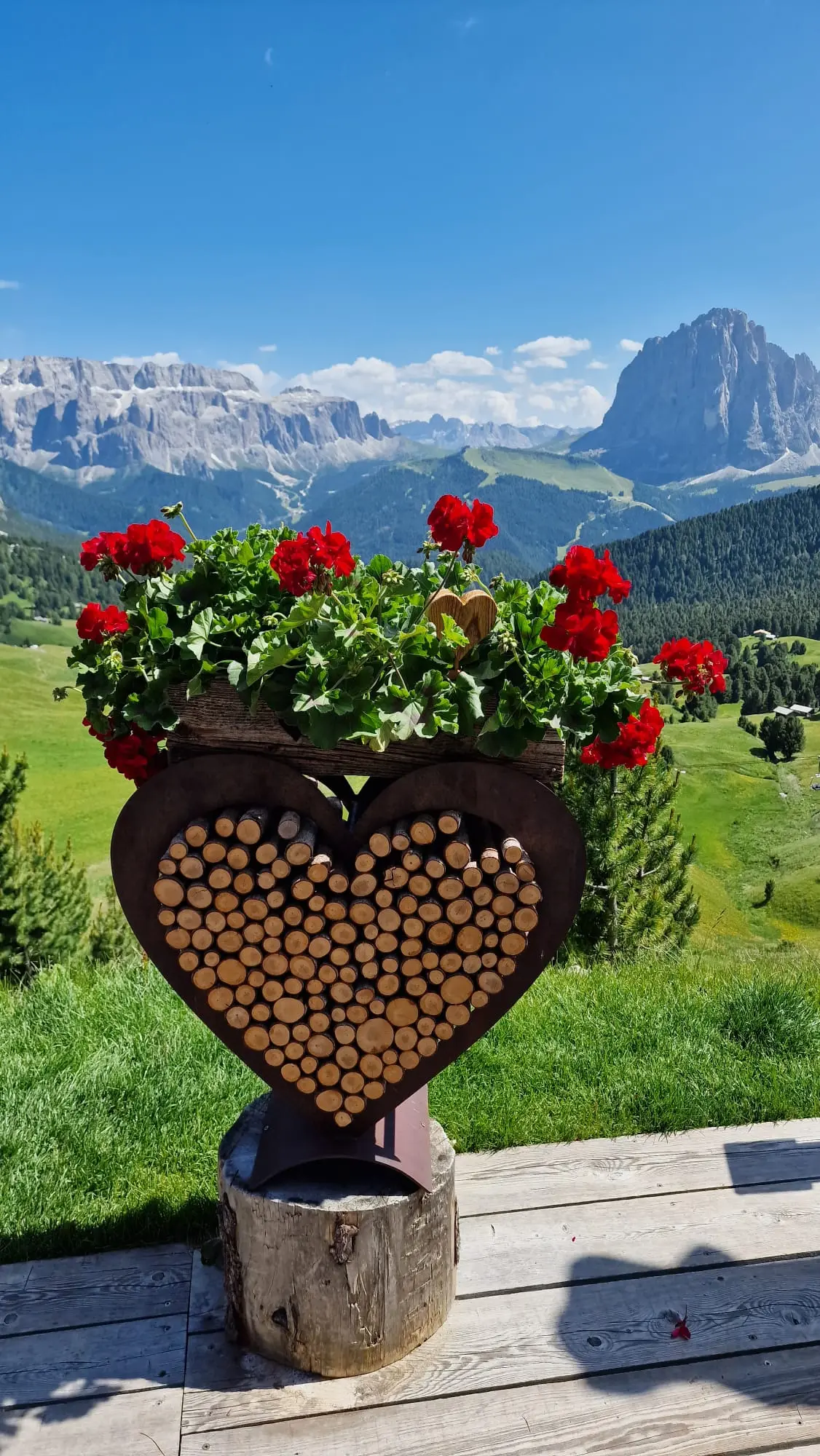 Fotografie zájezdu