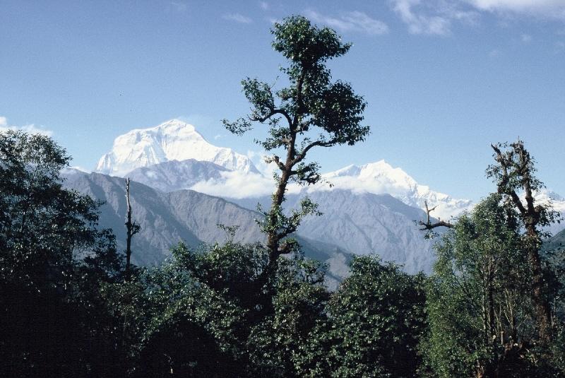 Nepál 2006 - kolem Anapuren 2010-01-01