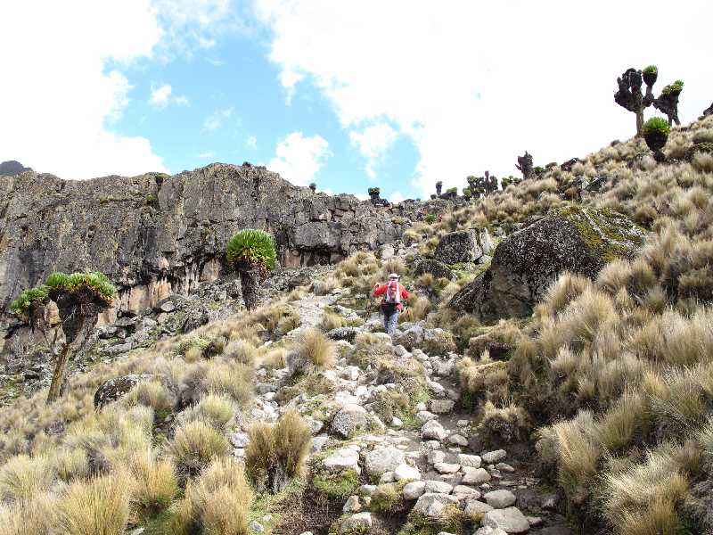 Mt.Kenya - safari - Kilimanjaro (2011) 2011-02-01