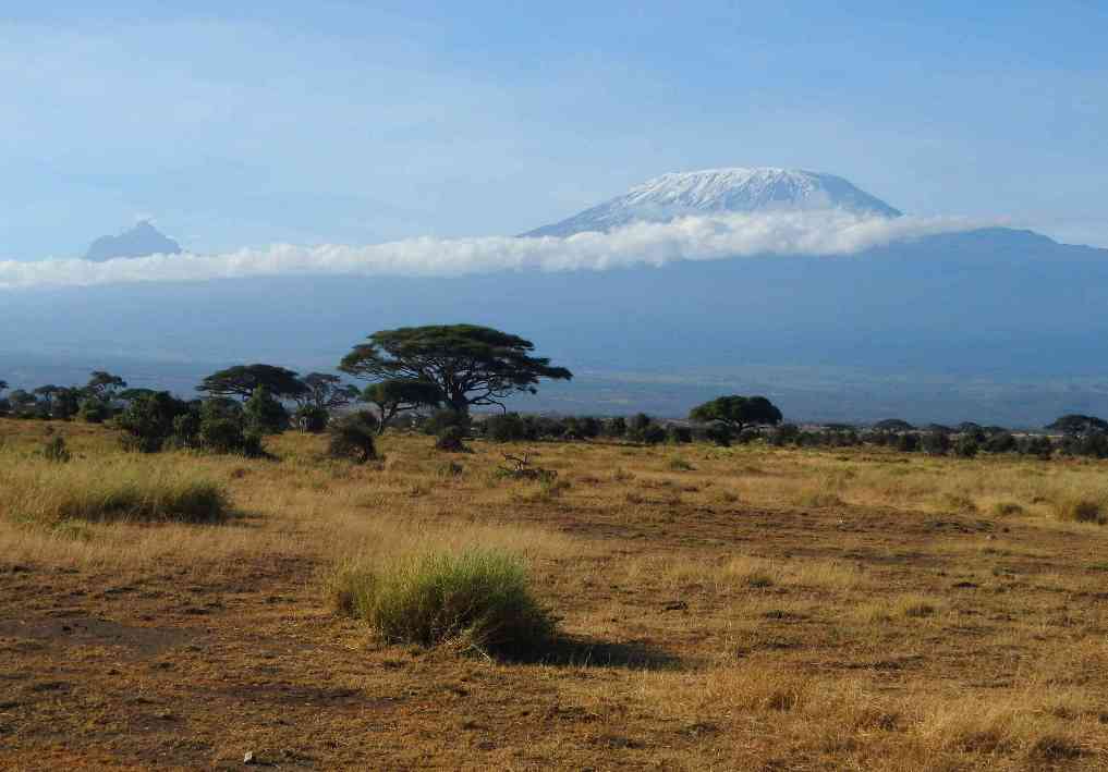 Kilimanjaro - Amboseli (2012) 2012-02-01